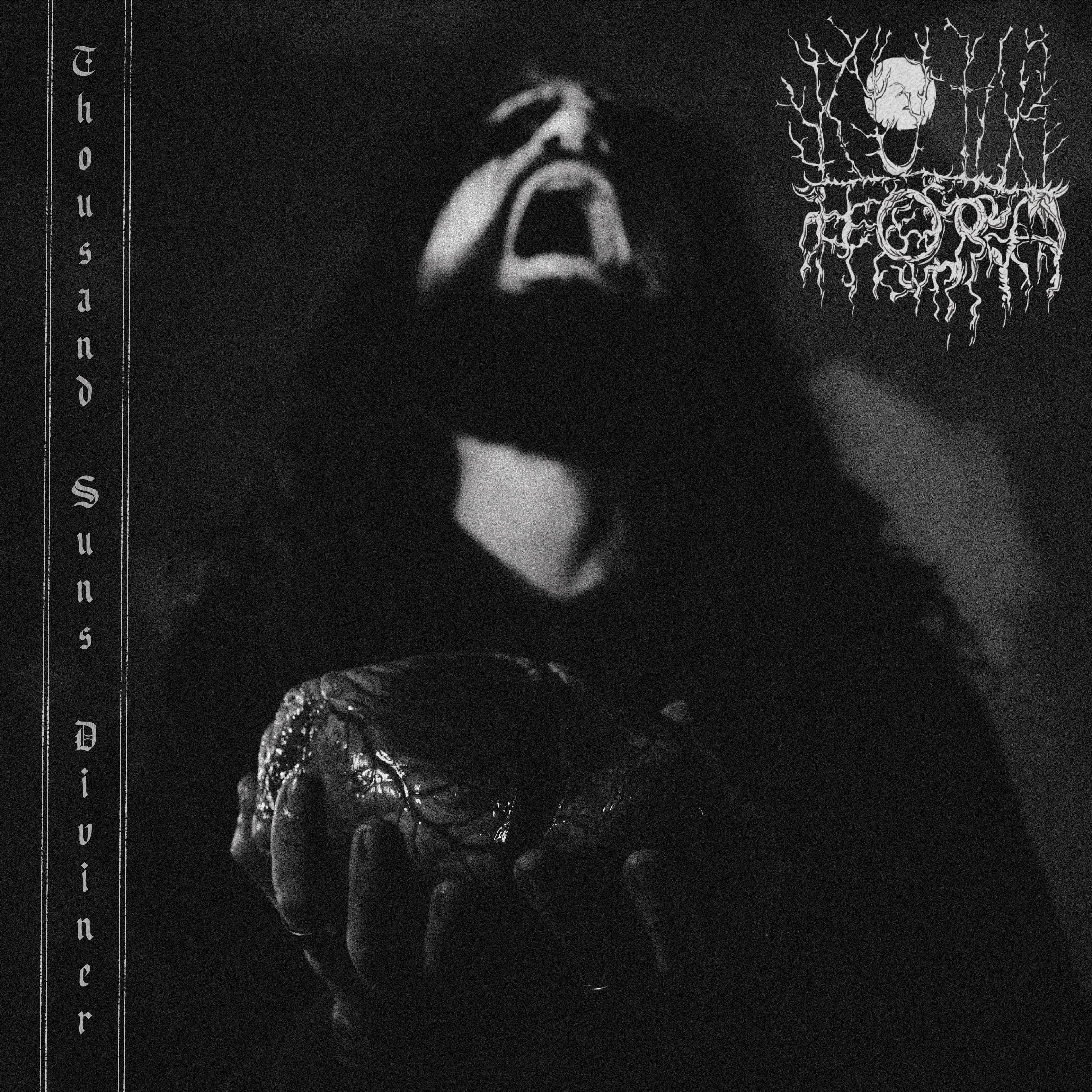 Thousand Suns Diviner (2026)